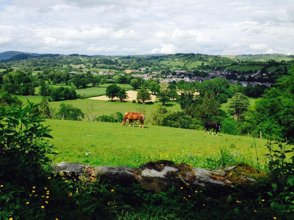The Eagles Hotel Llanrwst Bagian luar foto